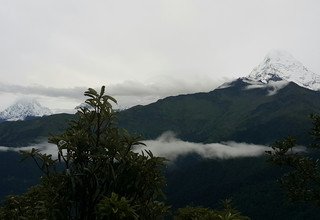 Ghorepani-Ghandruk Circuit (Poon Hill) Family Lodge Trek, 9 Days ,From 5th August and 13th August 2016