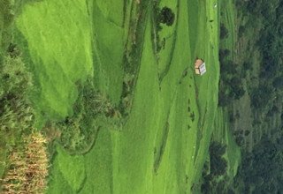 Ghorepani-Ghandruk Circuit (Poon Hill) Family Lodge Trek, 7 Days, From 7 August to 13 August 2016 ,2Pax)