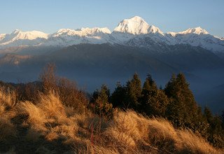 Poon Hill Family Lodge Trek 4 Days, 27 Oct to 30 Oct 2012