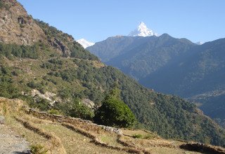 Horse-Riding in Ghandruk Circuit Family Lodge Trek, 9 Days 27 Oct to 04 Nov 2012