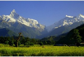 Ghorepani-Poon Hill Family Lodge Trek and Chitwan Tour 7 Days, 20 April to 26 April 2011