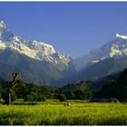 Ghorepani-Poon Hill Family Lodge Trek and Chitwan Tour 7 Days, 20 April to 26 April 2011