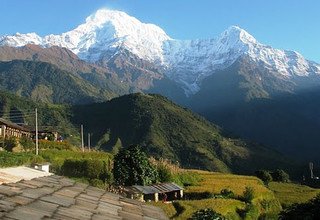 Ghorepani-Poon Hill Family Lodge Trek and Chitwan Tour 7 Days, 20 April to 26 April 2011