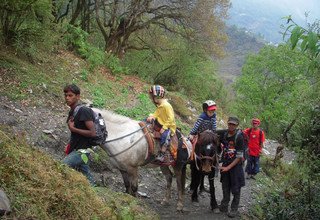 ABC Challenging Family Lodge Trek 11 Days, 02 April to 11 April 2012