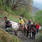 ABC Challenging Family Lodge Trek 11 Days, 02 April to 11 April 2012