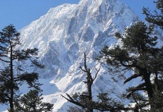 Manaslu Circuit Camping Trek, 16 Days and Chitwan National Park, March 23 - April 14, 2013  