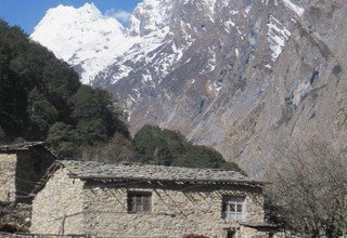 Manaslu Circuit Camping Trek, 16 Days and Chitwan National Park, March 23 - April 14, 2013  