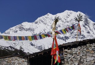 Manaslu Circuit Camping Trek, 16 Days and Chitwan National Park, March 23 - April 14, 2013  