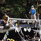Jomolhari combined with Druk Path Trek and Tour 13 Days, 9 November to 21 November 2014