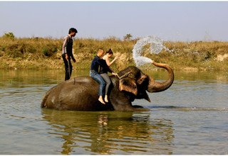 Chitwan and Lumbini Tour 6 Days, 14 February to 21 February 2014