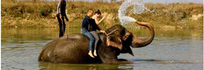 Chitwan and Lumbini Tour 6 Days, 14 February to 21 February 2014