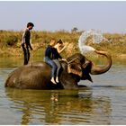 Chitwan and Lumbini Tour 6 Days, 14 February to 21 February 2014