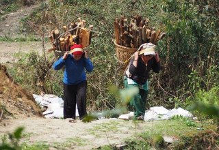 Ghorepani-Ghandruk Circuit (Poon Hill) Family Lodge Tour & Trek, 10 Days, 6 March to 15  March 2016