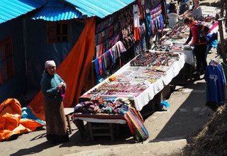Ghorepani-Ghandruk Circuit (Poon Hill) Family Lodge Tour & Trek, 10 Days, 6 March to 15  March 2016