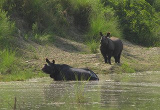 Tour dans le parc national de Bardia | 3 nuits 4 jours