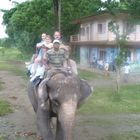 Closed up at Chitwan Tour 2 Night 3 Days Package