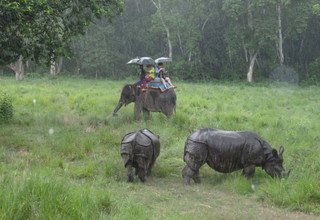 Chitwan Nationalpark Tourpaket, 3 Nächte 4 Tage