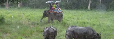 Forfait visite du parc national de Chitwan, 3 nuits 4 jours