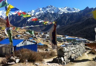 Langtang Classic Family Lodge Trek 8 Days, 12 Oct to 19 Oct 2013