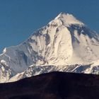 Jomsom-Muktinath Family Lodge Trek 9 Days, 7 June to 15 June 2014