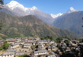 Ponn Hill-Ghorepani-Ghandruk Circuit Family Horse Riding Lodge Trek 8 Days, 13 Oct to 20 Oct 2013