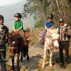 Randonnée à cheval au panorama de l'Annapurna (avec ou sans enfants), 10 Jours