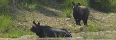 CHITWAN NATIONALPARK