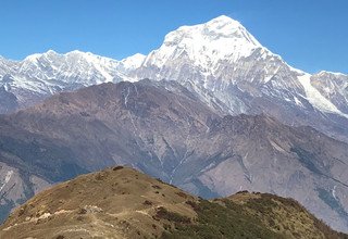 Khopra Danda (Ridge) Trek pour les familles (au sud des Annapurnas), 12 Jours