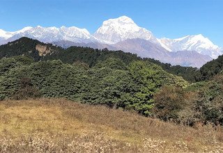 Khopra Ridge Trekking (au sud des Annapurnas), 13 Jours