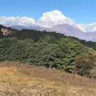 Khopra Ridge Trek (South of Annapurnas), 13 Days 