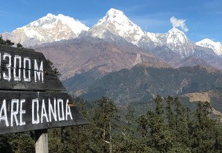 Mohare Danda Trek für Familien (Öko-Pfad der Gemeinschaft), 10 Tage