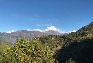 Khopra Ridge Trekking (südlich von Annapurnas), 14 Tage