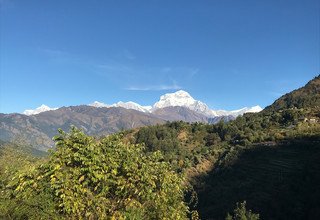 Khopra Ridge Trek (South of Annapurnas), 13 Days 