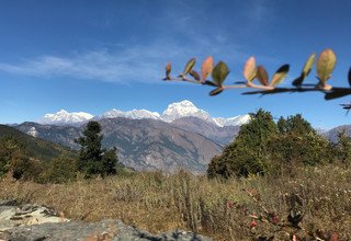 Khopra Ridge Trek (South of Annapurnas), 13 Days 