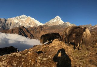 Khopra Danda (Ridge) Trek for families (South of Annapurnas), 12 Days