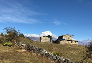 Khopra Ridge Trekking (au sud des Annapurnas), 13 Jours