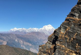 Khopra Ridge Trek (South of Annapurnas), 13 Days 