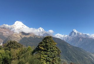 Annapurna Panorama Trek for families combined White Water Rafting and Chitwan Tour, 14 Days