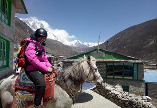 Reiten zum Mount Everest Basislager, 15 Tage