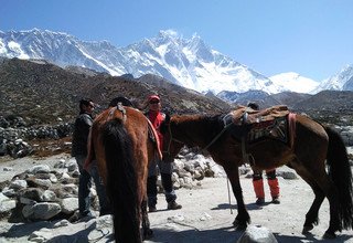 Reiten zum Mount Everest Basislager, 15 Tage