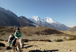 Randonnée à cheval au camp de base Everest, 15 Jours