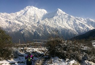 Mardi Himal Trek pour les familles, 10 Jours