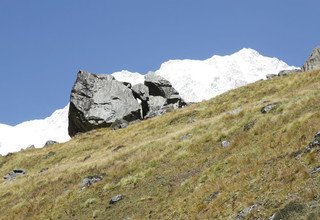 Trek court du camp de base de l'Annapurna, 10 Jours