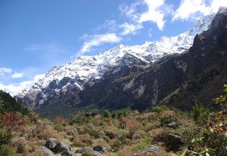 Kanchenjunga Basislager Trekking, 24 Tage