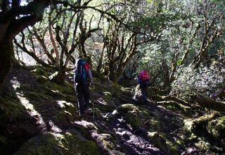 Kanchenjunga Basislager Trekking, 24 Tage