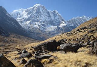 Trek court du camp de base de l'Annapurna, 10 Jours