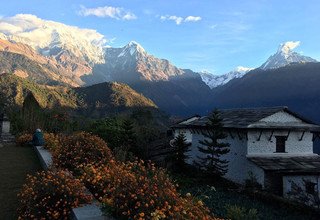 Trek court du camp de base de l'Annapurna, 10 Jours