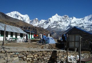 Trek du sanctuaire de l'Annapurna, 14 Jours