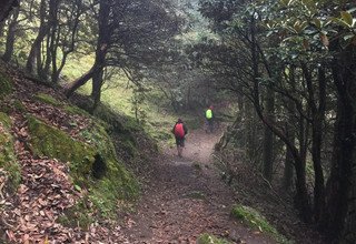 Pikey Gipfel Trekking (Unten Khumbhu Region/Solu), 9 Tage