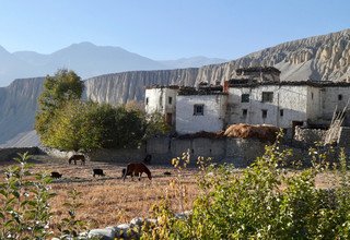 Yartung Festival Mustang Trek 2023 (the ancient Wall City of Lo-Manthang), 16 Days - 8th-10th September 2024